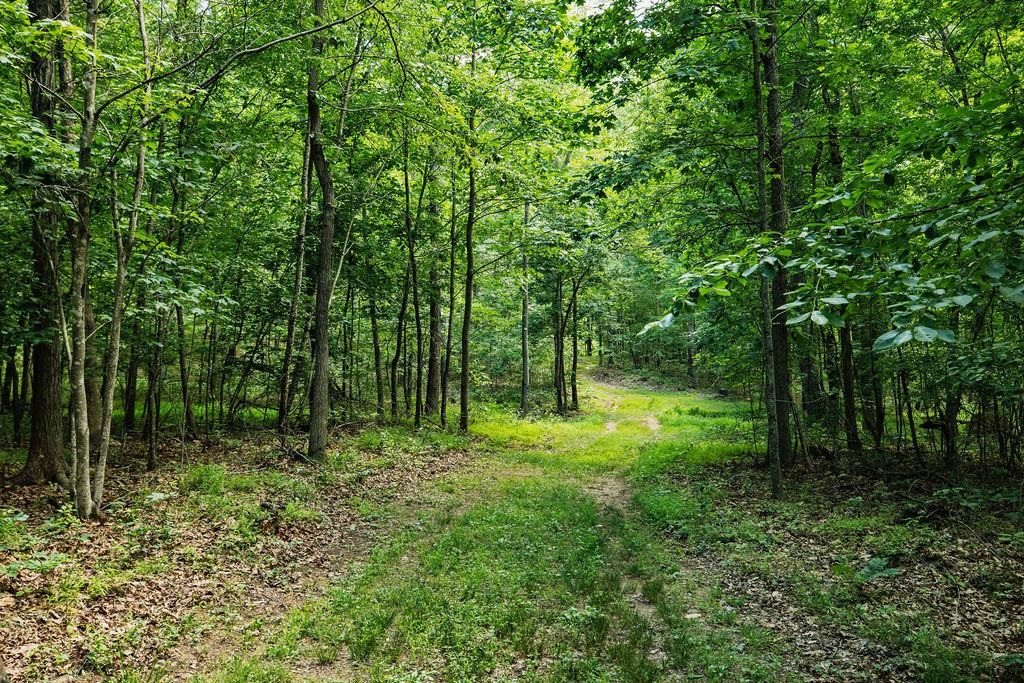 Tbd Calf Mountain Road Waynesboro, VA 22980 - Photo 19 of 36