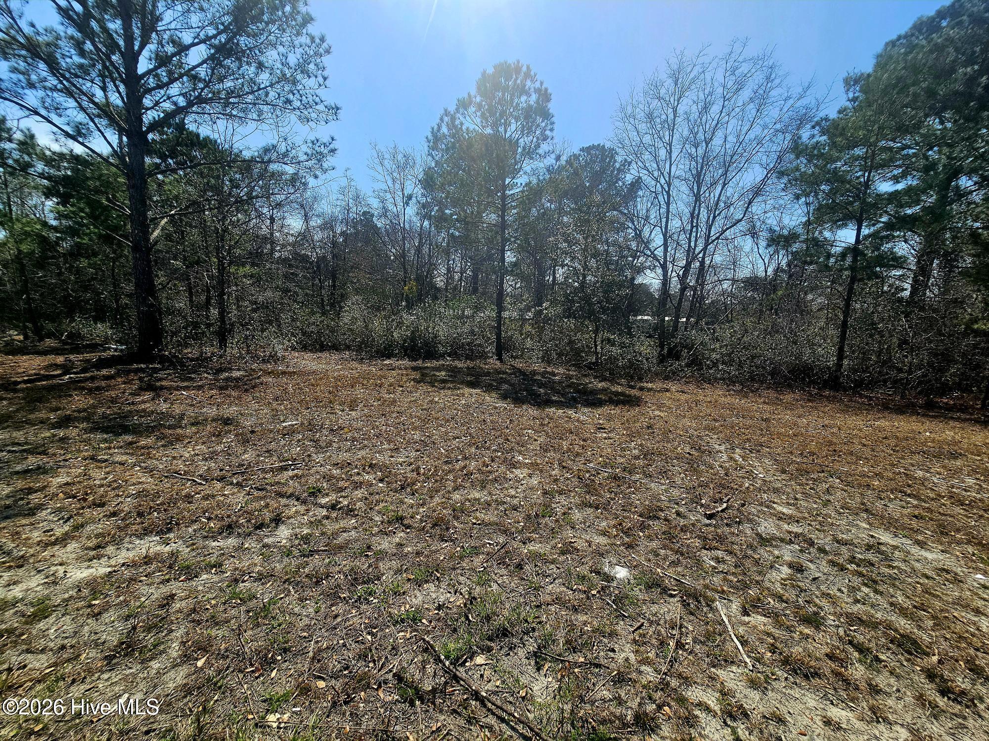 109 Mockingbird Lane Holly Ridge, NC 28445 - Photo 26 of 28 back yard