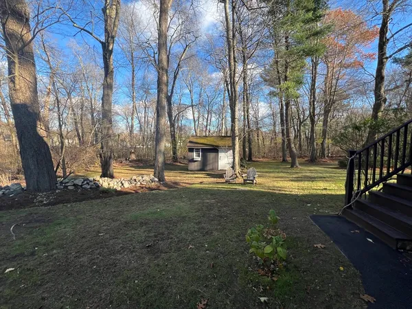 a view of yard with large trees
