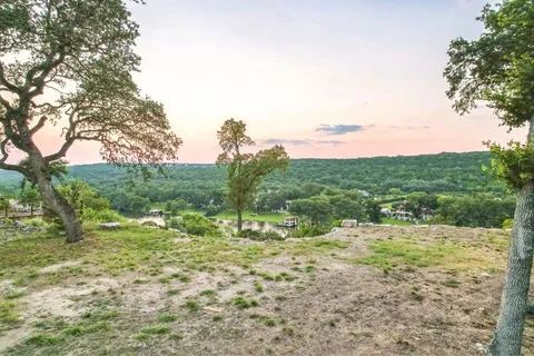 a view of a yard with an tree