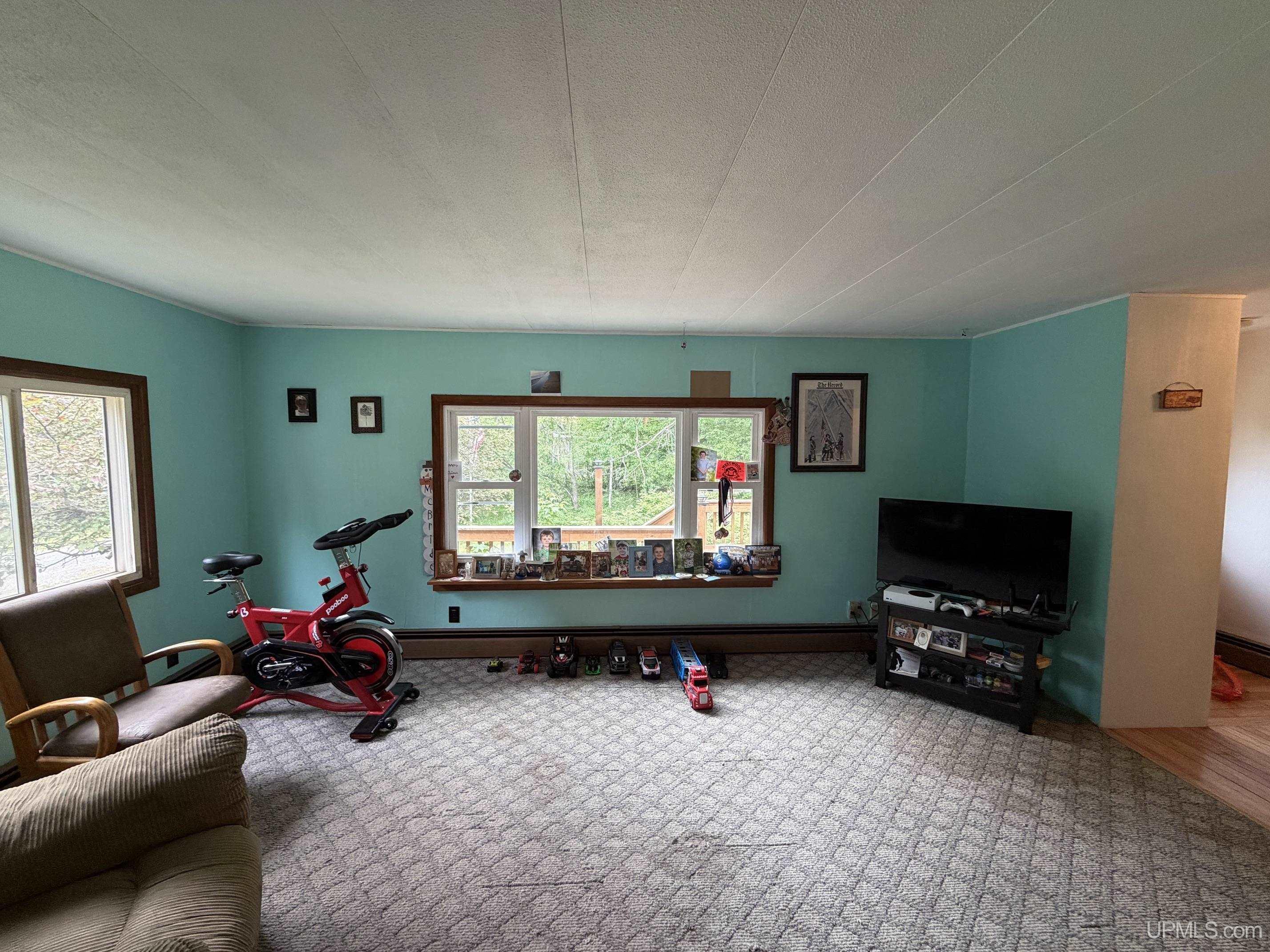 24797 Ruth Lake Road Michigamme, MI 49861 - Photo 15 of 38