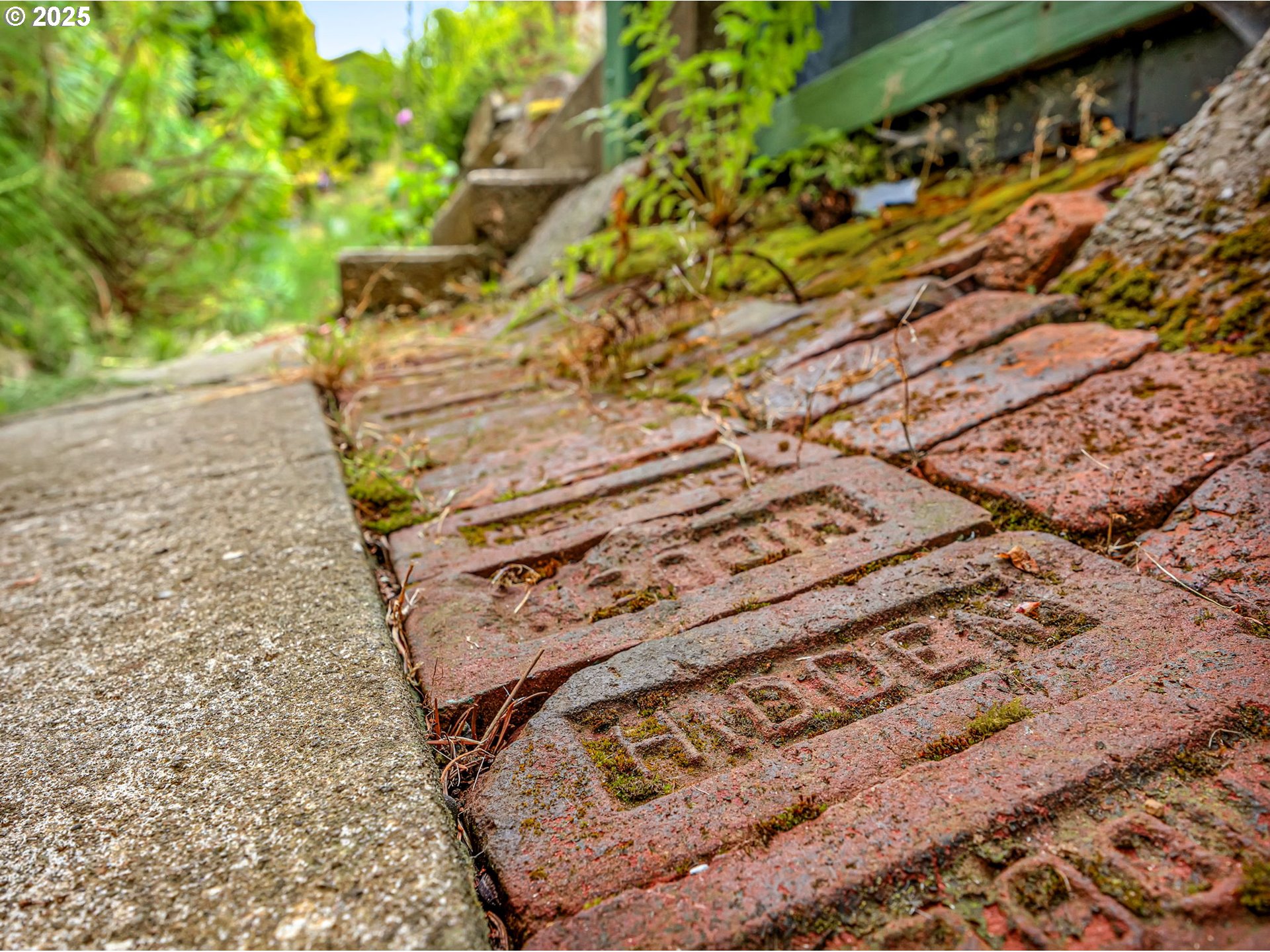 143 Washington Street Astoria, OR 97103 - Photo 41 of 45 a view of a backyard