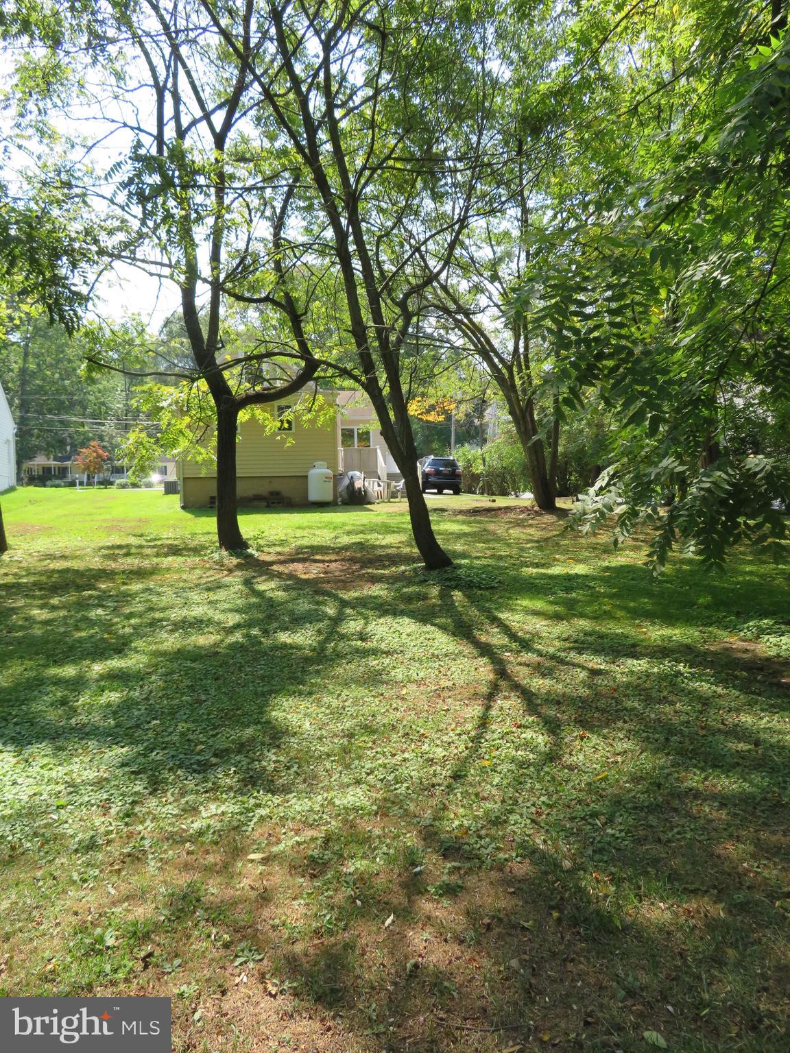 1660 Cape May Road Baltimore, MD 21221 - Photo 37 of 42 Treed back yard