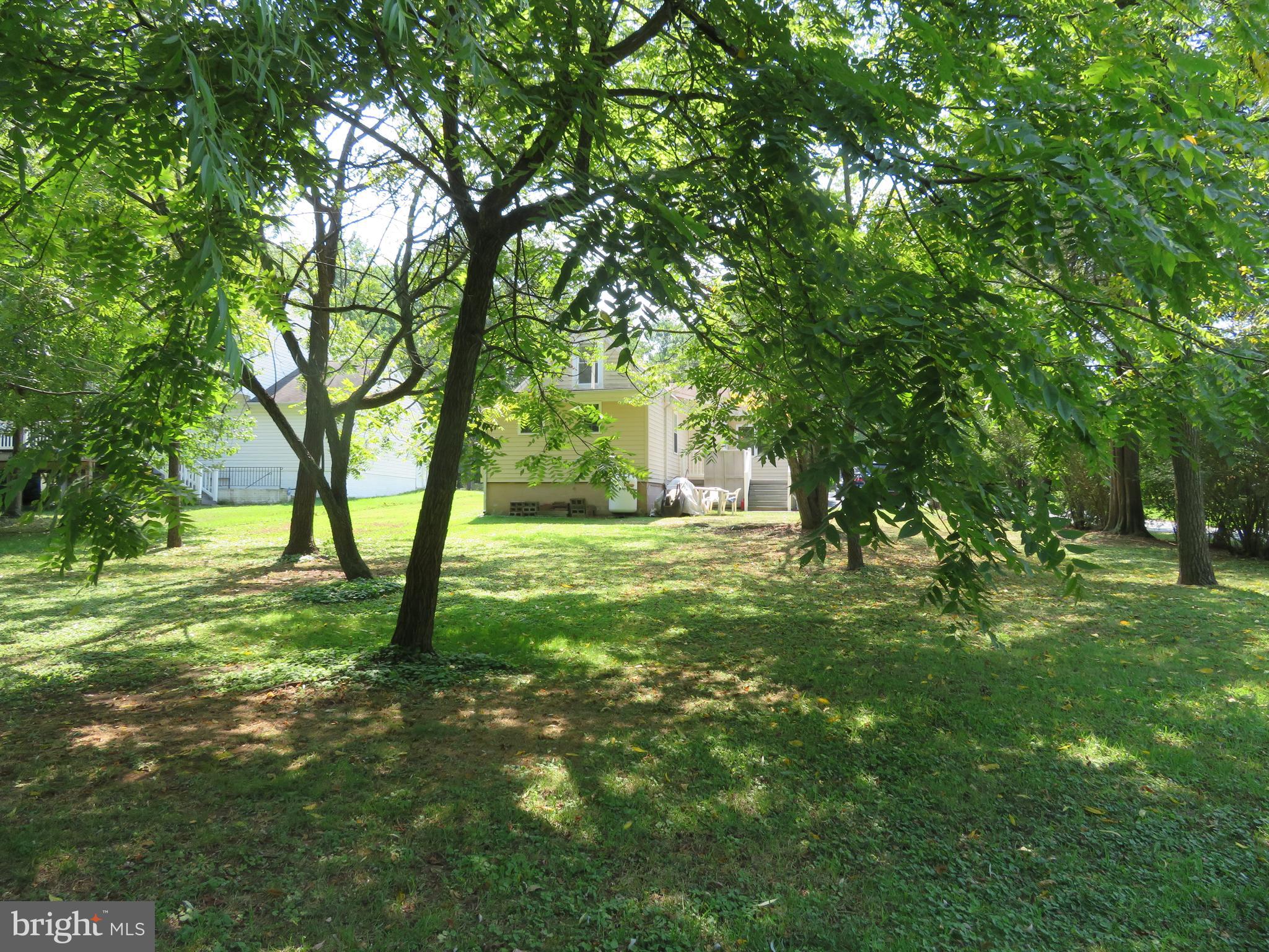 1660 Cape May Road Baltimore, MD 21221 - Photo 39 of 42 Back yard