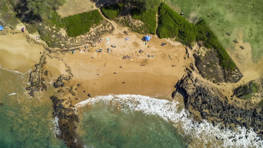 2747 South Kihei Road, Unit A101 Kihei, HI 96753 - Photo 6 of 14 a view of outside area of house