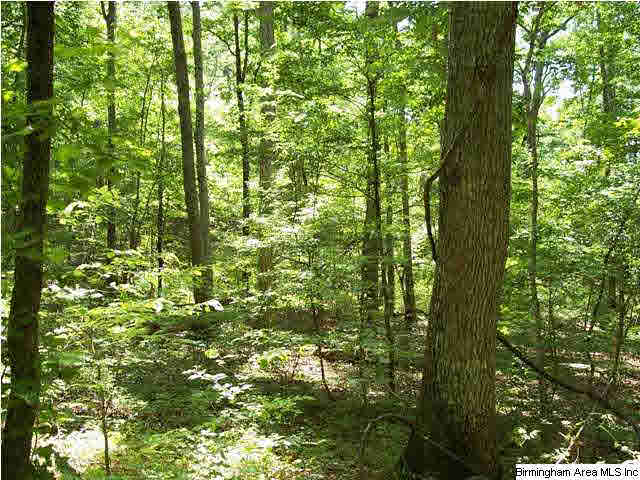 0 Powell Road, Unit 80 AC Remlap, AL 35133 - Photo 4 of 5
