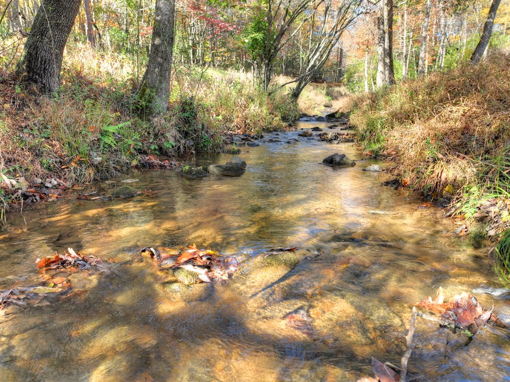 89 High Mdws Drive Morganton, GA 30560 - Photo 49 of 63