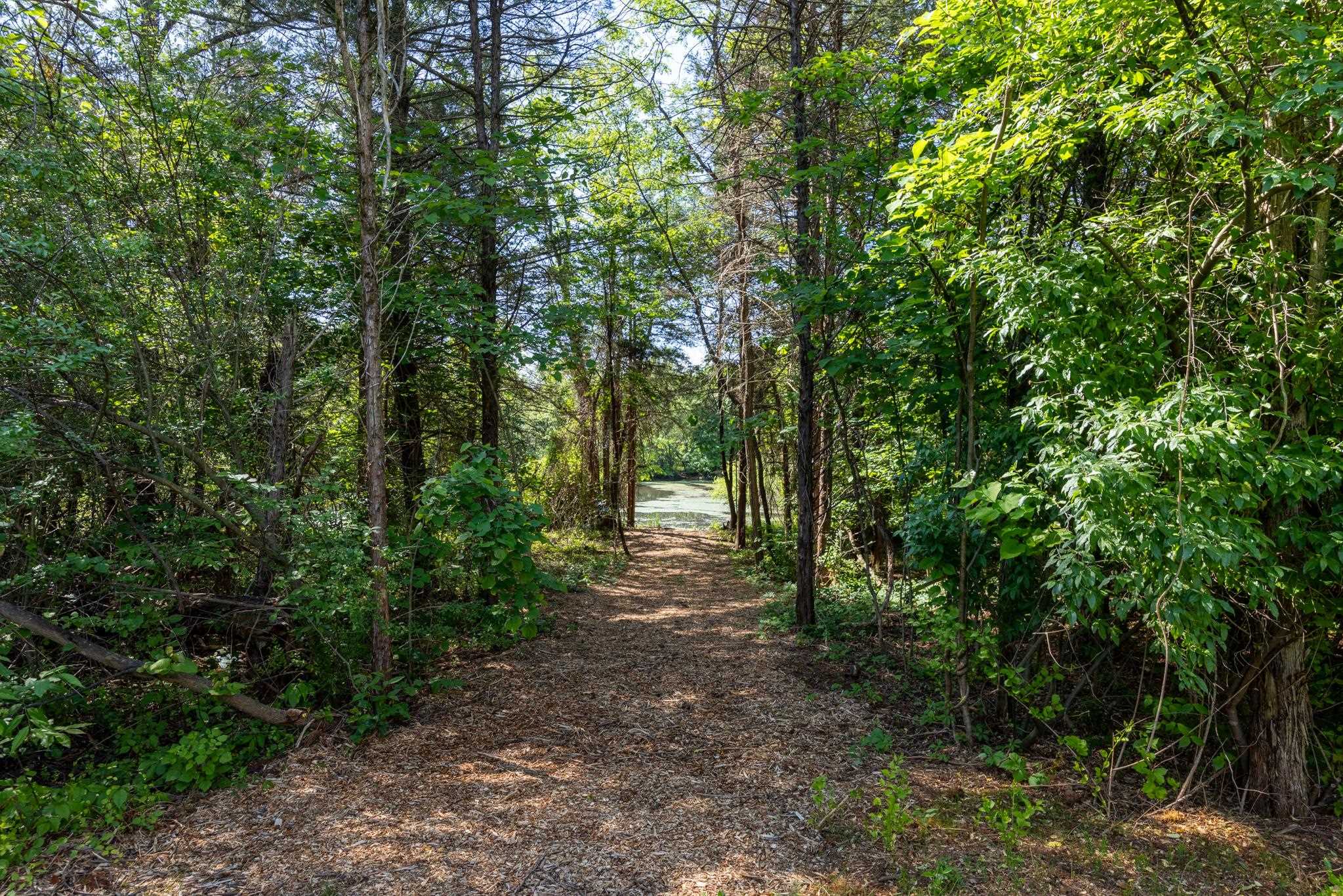 2696 Dunnes Shop Road Ruckersville, VA 22968 - Photo 28 of 37