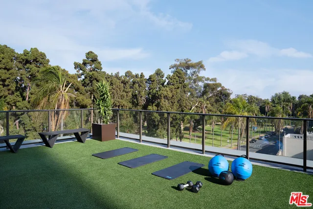 a view of a garden with a slide