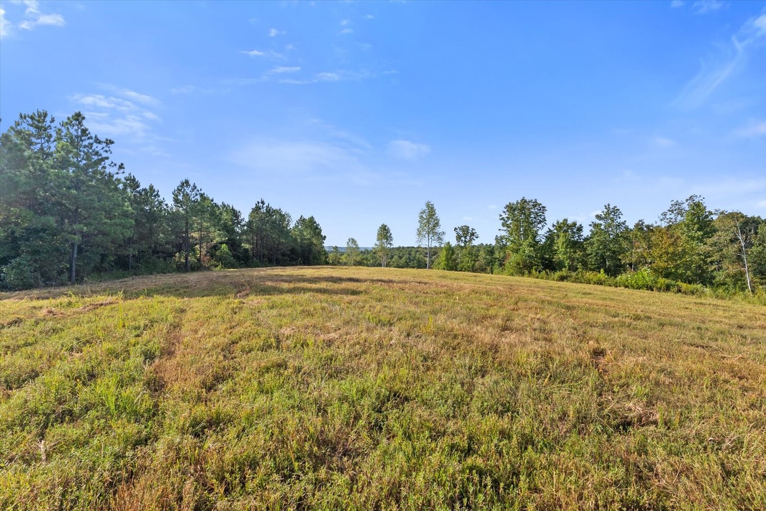 0 Kro Hollow Road Hohenwald, TN 38462 - Photo 12 of 35 a view of a field with an ocean view