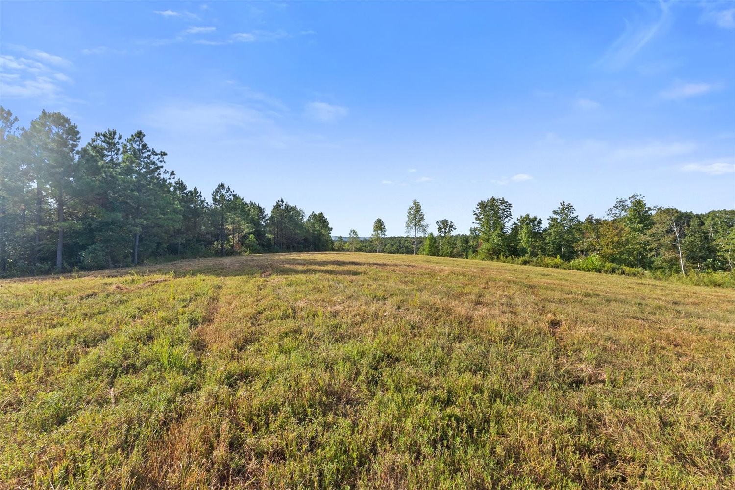 0 Kro Hollow Road Hohenwald, TN 38462 - Photo 15 of 35 a view of outdoor space and yard