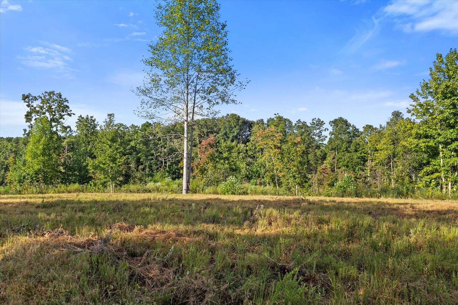 0 Kro Hollow Road Hohenwald, TN 38462 - Photo 17 of 35 a view of outdoor space with mountain view