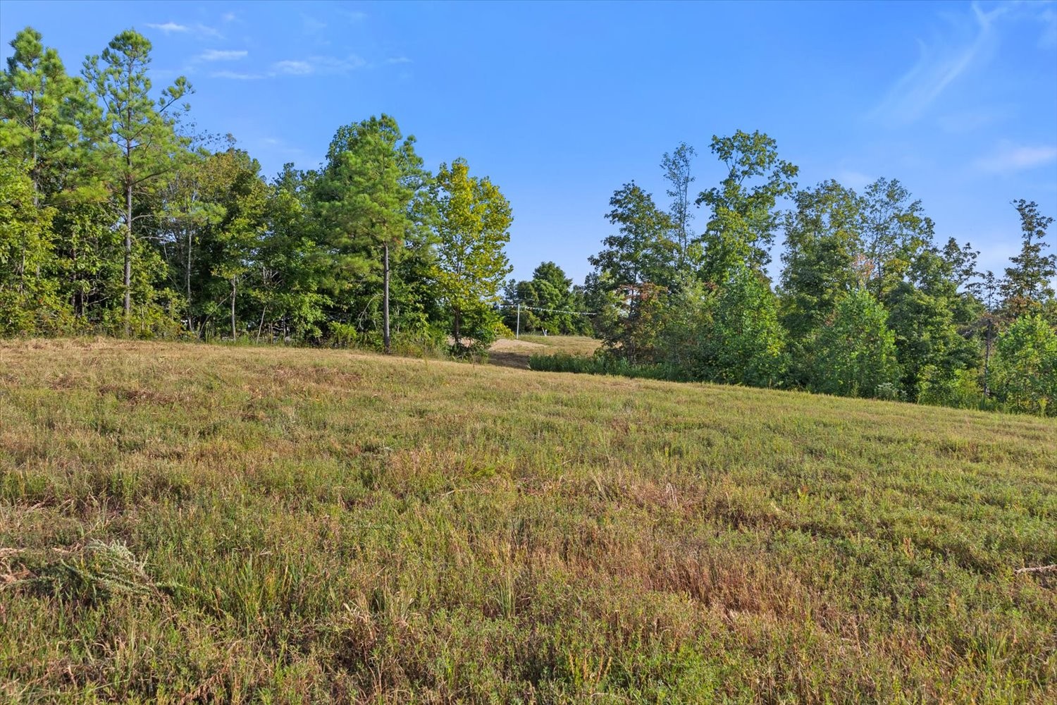 0 Kro Hollow Road Hohenwald, TN 38462 - Photo 18 of 35 a view of an outdoor space and a yard