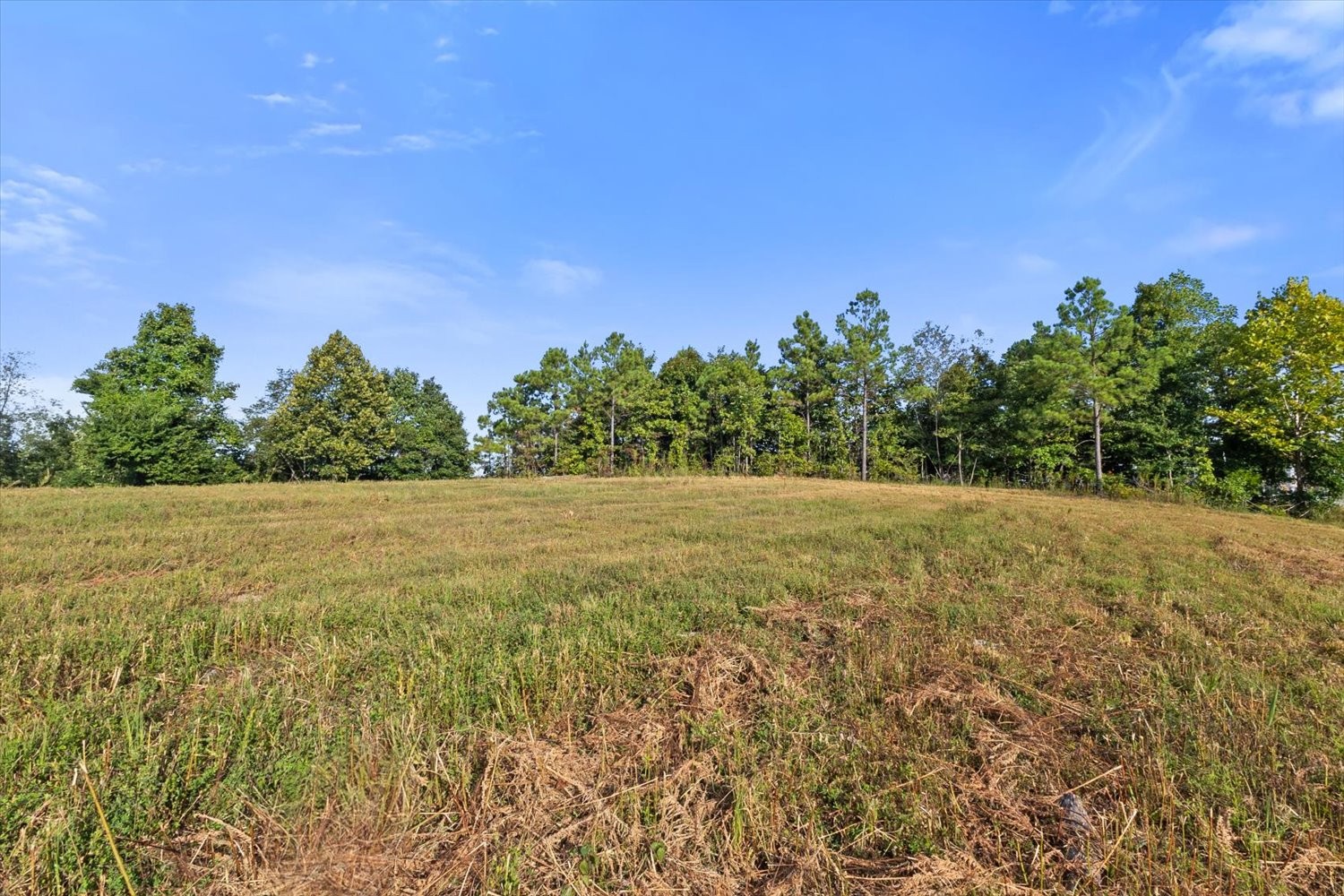 0 Kro Hollow Road Hohenwald, TN 38462 - Photo 19 of 35 a view of outdoor space and yard