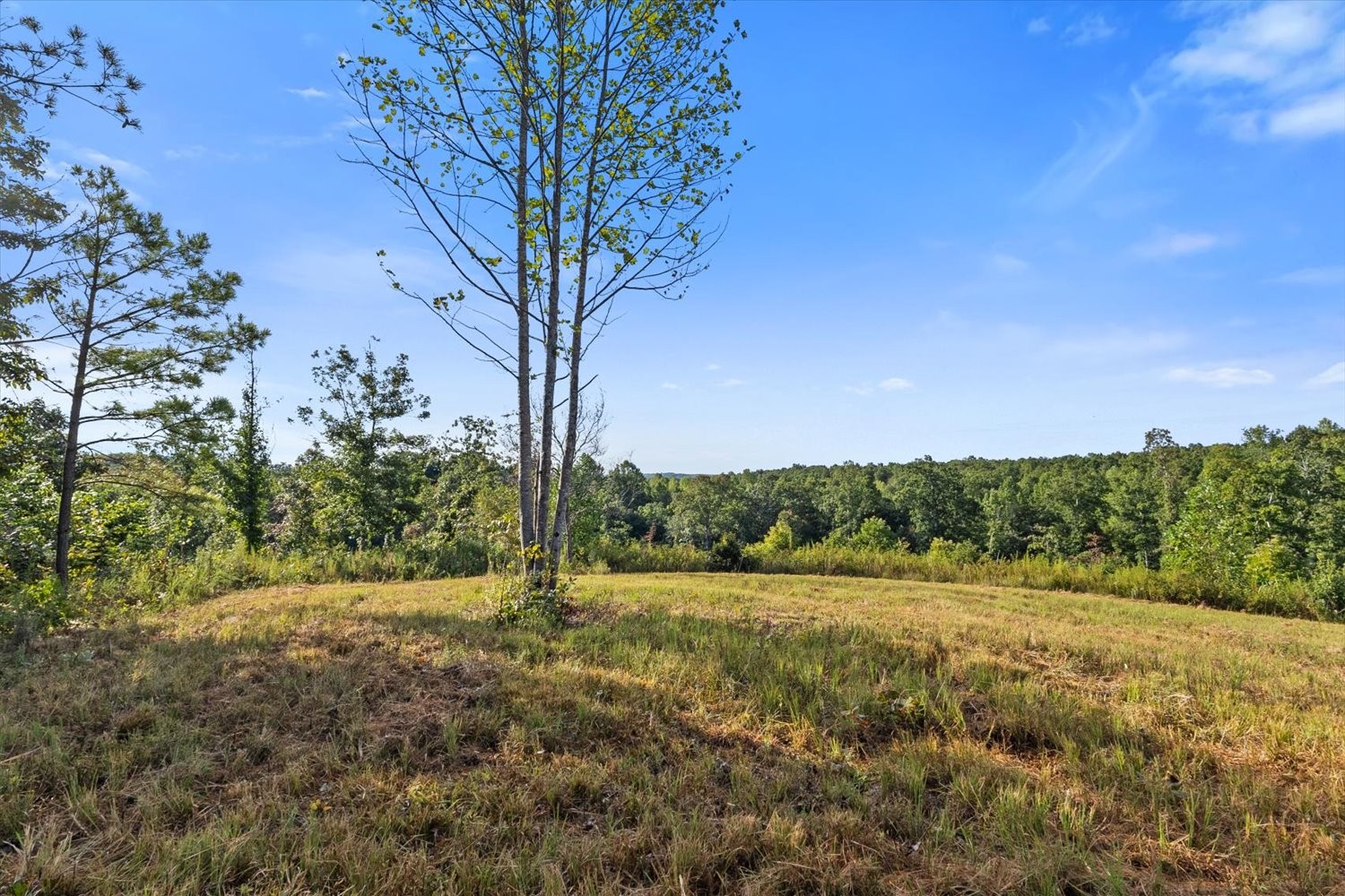 0 Kro Hollow Road Hohenwald, TN 38462 - Photo 23 of 35 a view of a field with trees in the background