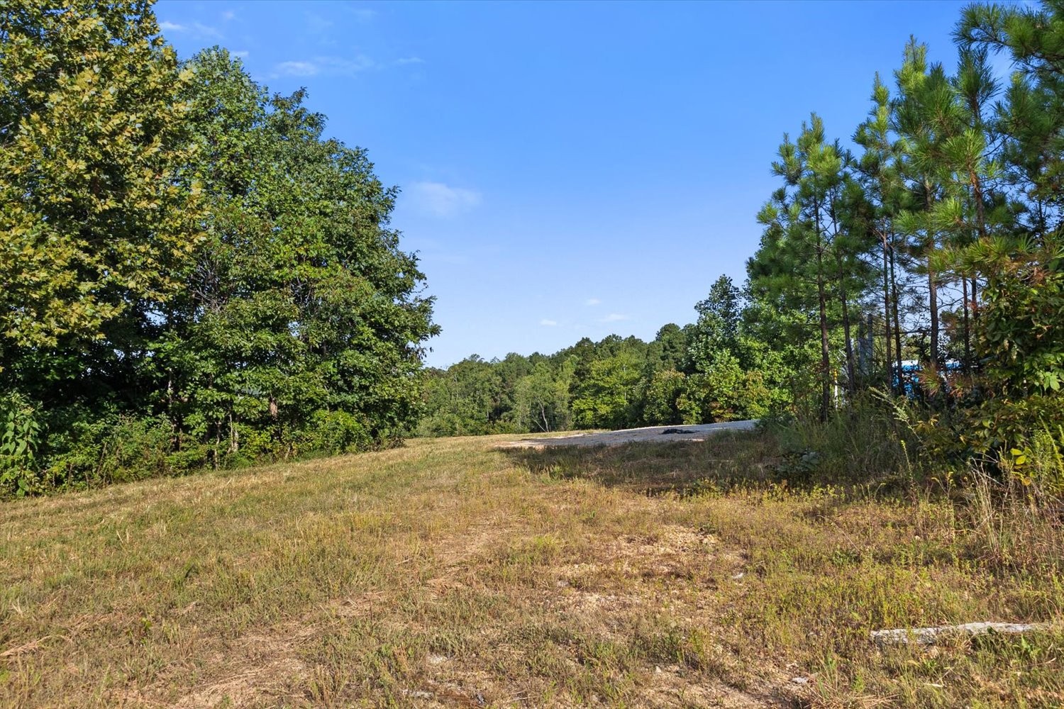 0 Kro Hollow Road Hohenwald, TN 38462 - Photo 26 of 35 a view of a yard with a tree