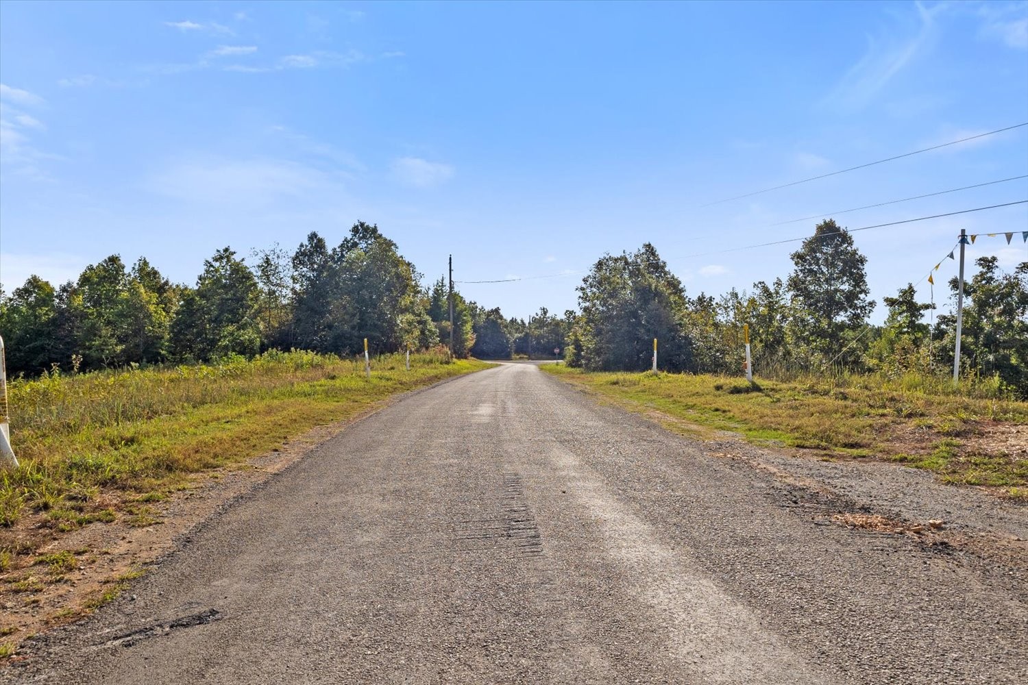 0 Kro Hollow Road Hohenwald, TN 38462 - Photo 29 of 35 a view of a field with trees in background