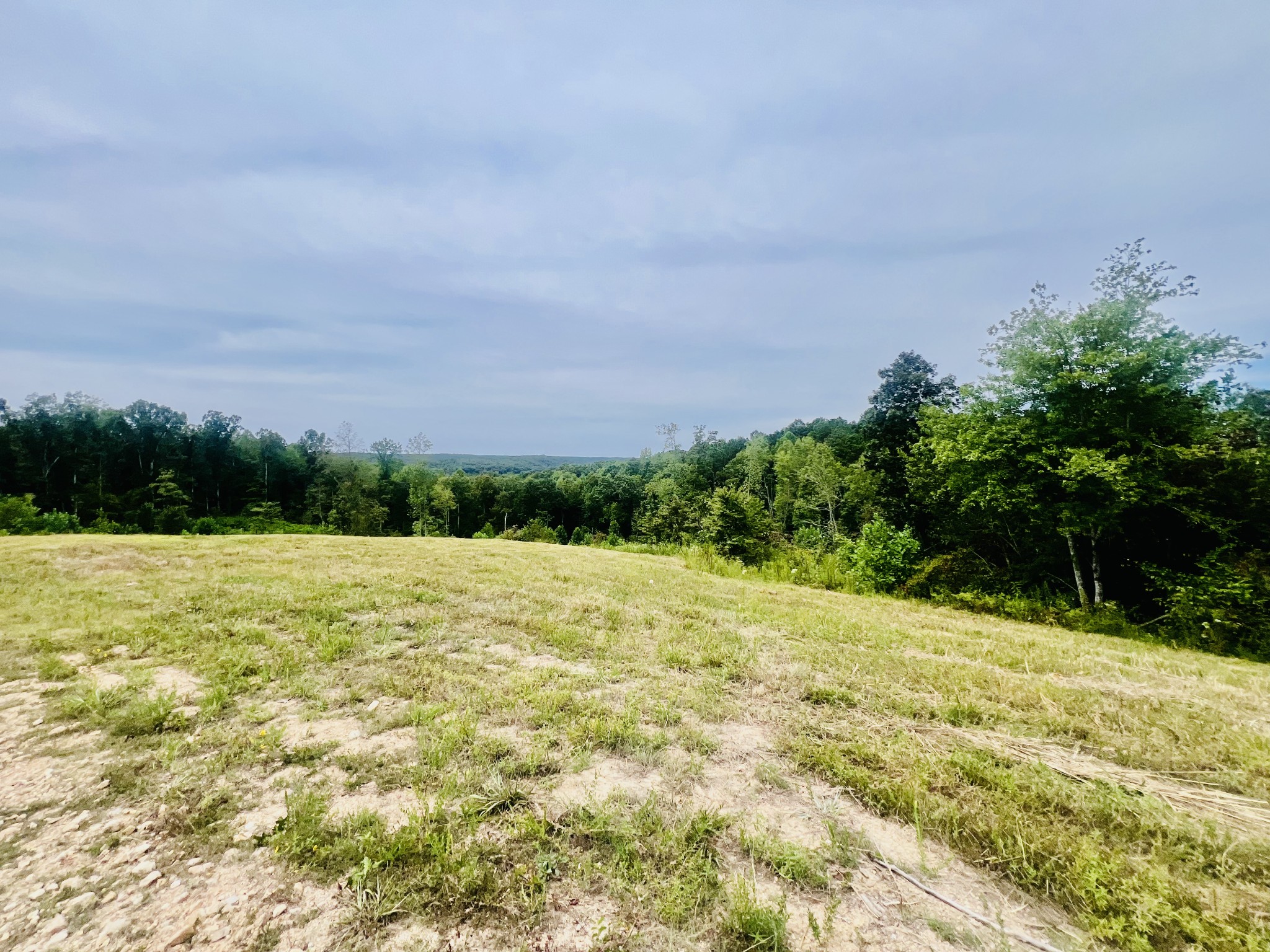0 Kro Hollow Road Hohenwald, TN 38462 - Photo 34 of 35 a view of a yard with an outdoor space