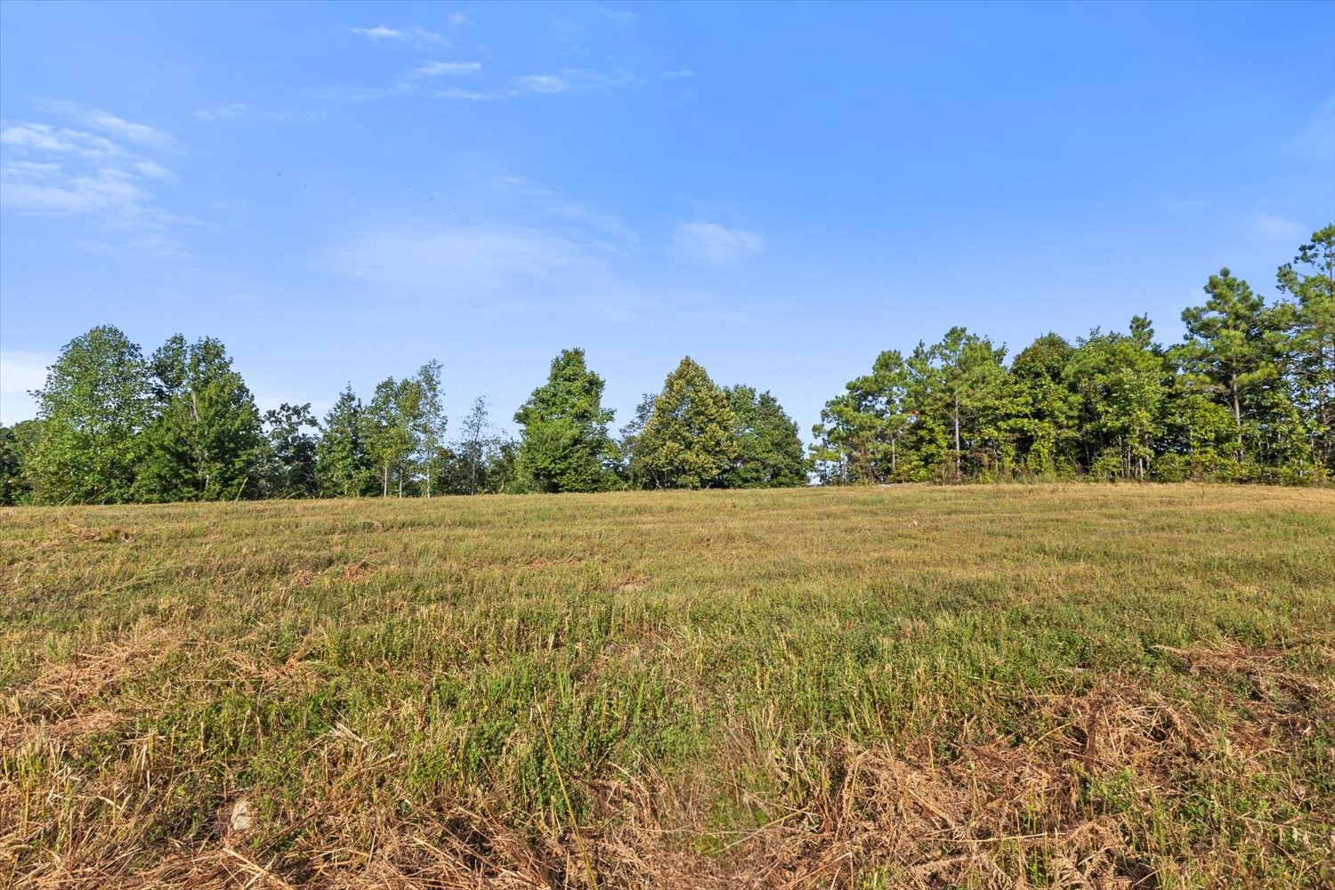0 Kro Hollow Road Hohenwald, TN 38462 - Photo 10 of 35 a view of a field with trees in the background