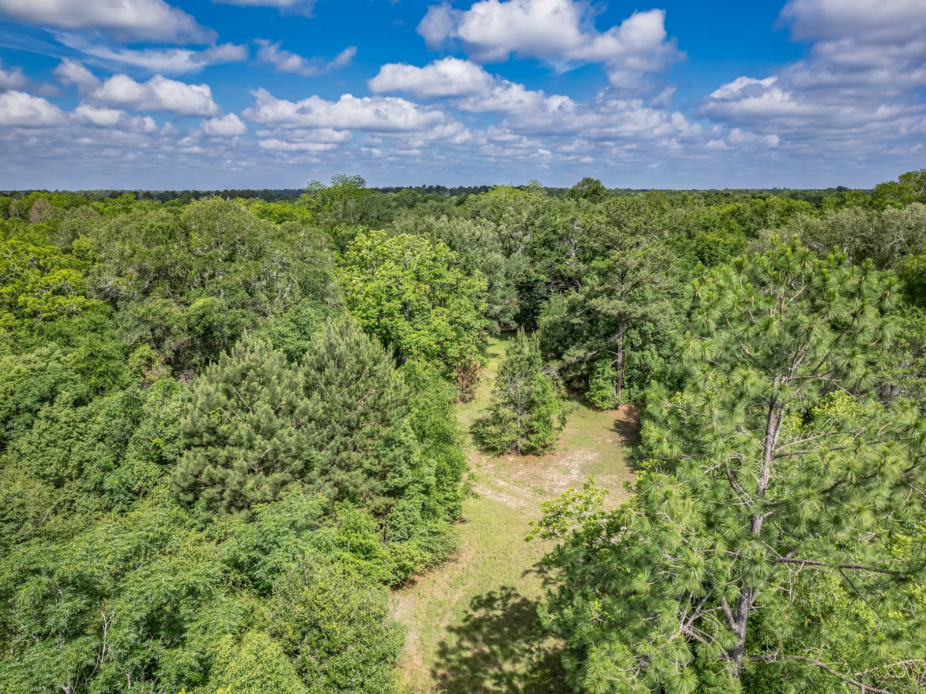 Xx Xx Hough Farm Road Quincy, FL 32351 - Photo 8 of 13