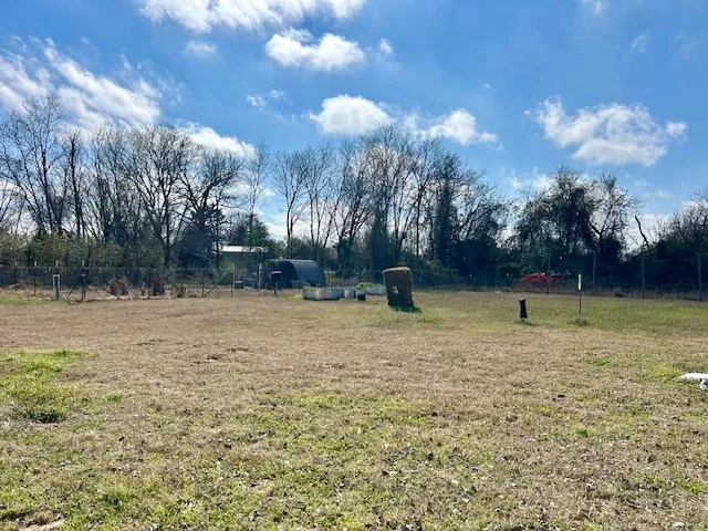 a view of a yard with a bench and trees