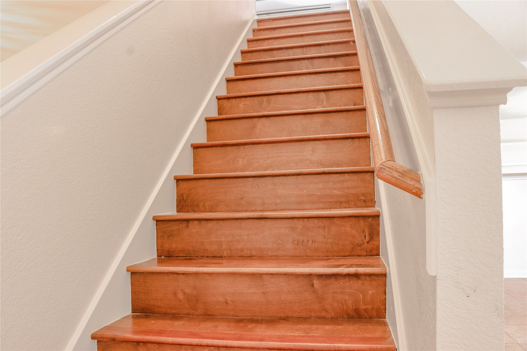 14123 Autumn Ridge Trail Drive Houston, TX 77048 - Photo 13 of 26