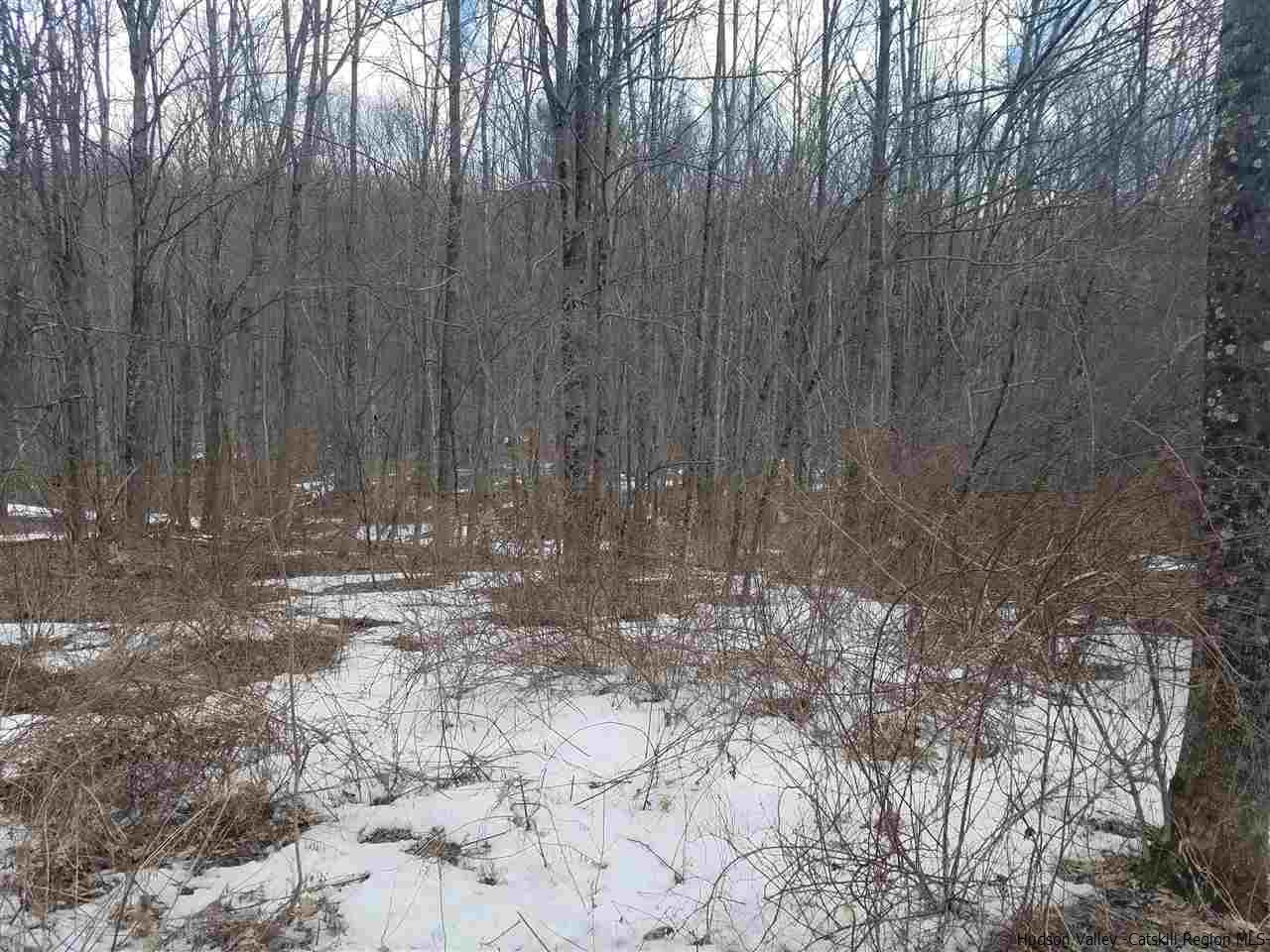 Diamond Notch Road Lanesville, NY 12450 - Photo 1 of 6 Photo 1