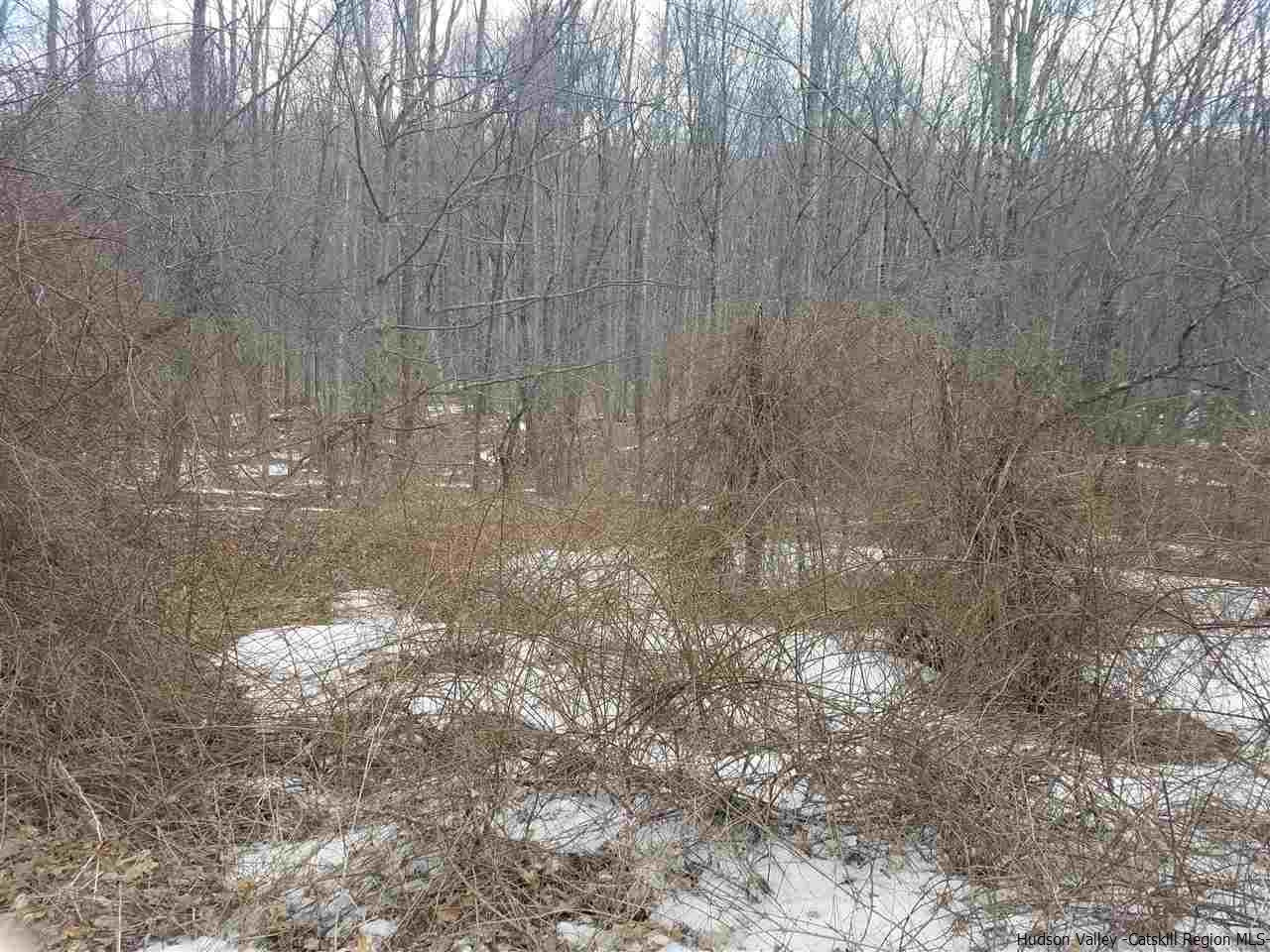 Diamond Notch Road Lanesville, NY 12450 - Photo 2 of 6 Photo 2