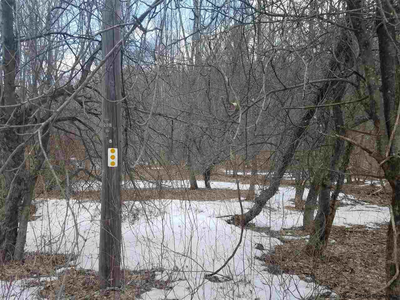 Diamond Notch Road Lanesville, NY 12450 - Photo 3 of 6 Photo 3