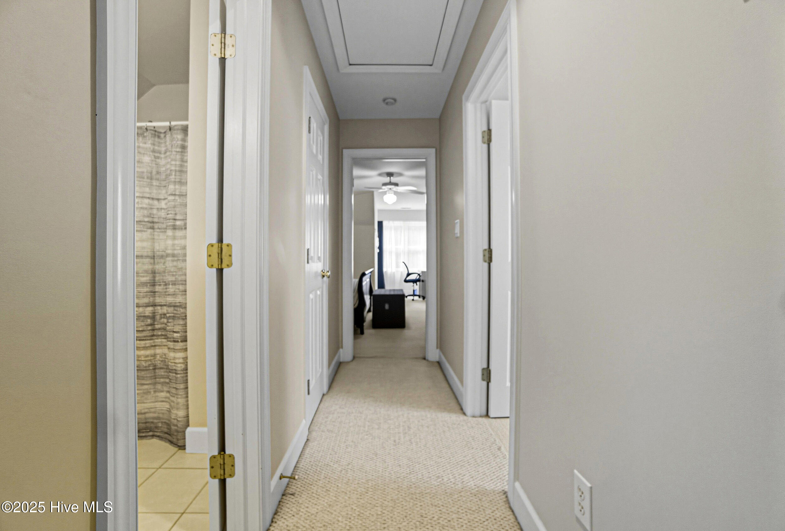 138 Dances Bay Road Elizabeth City, NC 27909 - Photo 32 of 77 1000026944