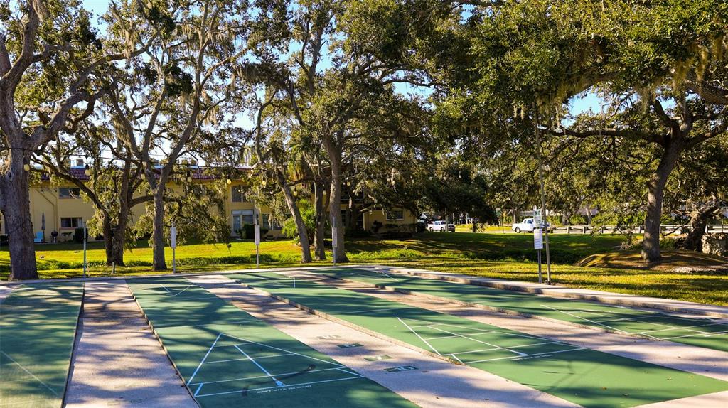 2003 Greenbriar Boulevard, Unit 1 Clearwater, FL 33763 - Photo 18 of 20 a view of swimming pool with trees