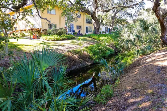 a view of a tree in a yard