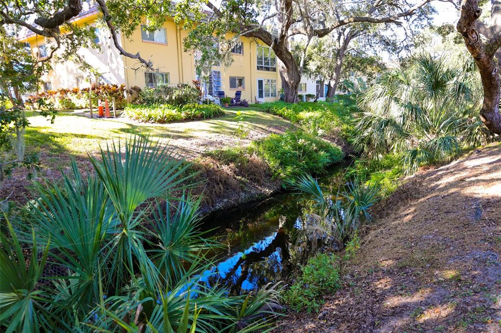 2003 Greenbriar Boulevard, Unit 1 Clearwater, FL 33763 - Photo 19 of 20 a view of a yard with plants and trees