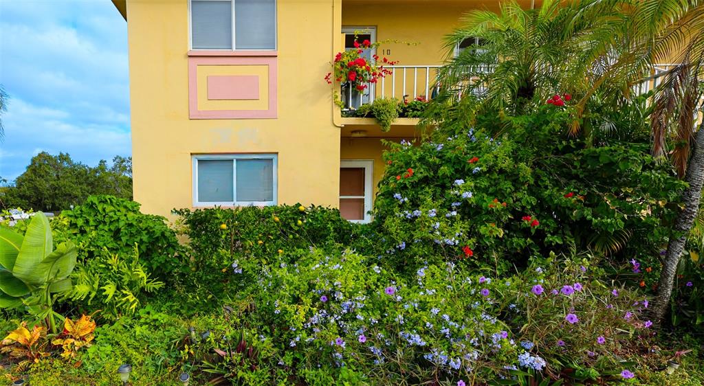 2003 Greenbriar Boulevard, Unit 1 Clearwater, FL 33763 - Photo 4 of 20 a front view of a house with plants