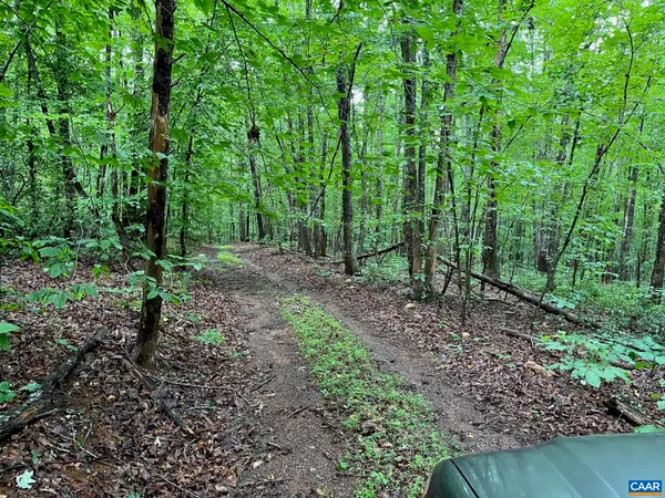 a view of outdoor space and green space