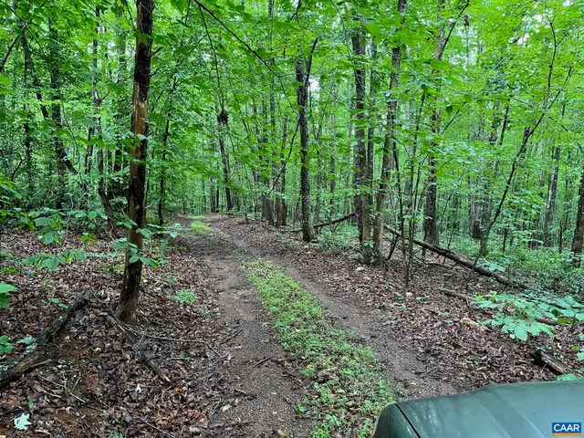 $160,000 | Howardsville Turnpike, Schuyler, VA 22969