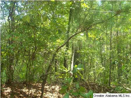 75 County Road 93 Verbena, AL 36091 - Photo 18 of 21