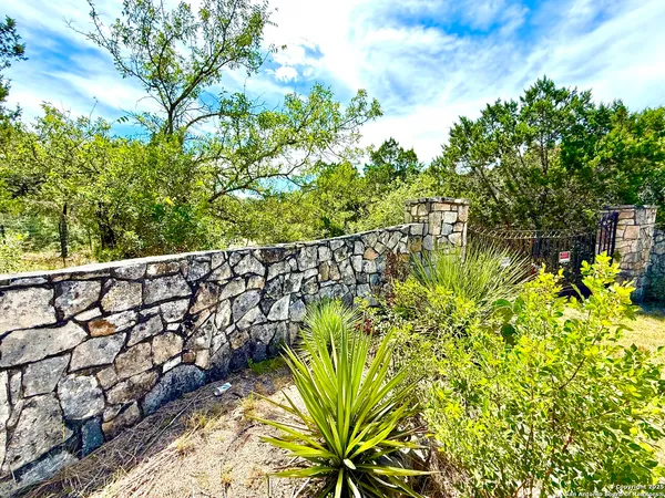 a view of a garden with plants and a bench