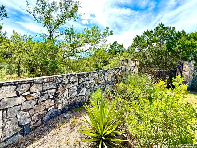 a view of a garden with plants and a bench