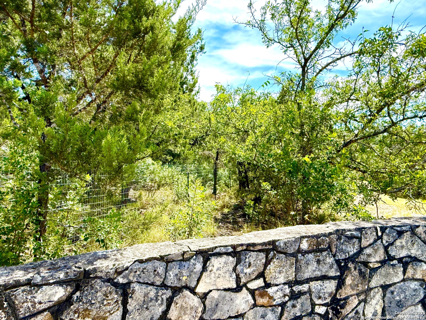 9852 Marnoch Road Helotes, TX 78023 - Photo 11 of 14 a view of a yard