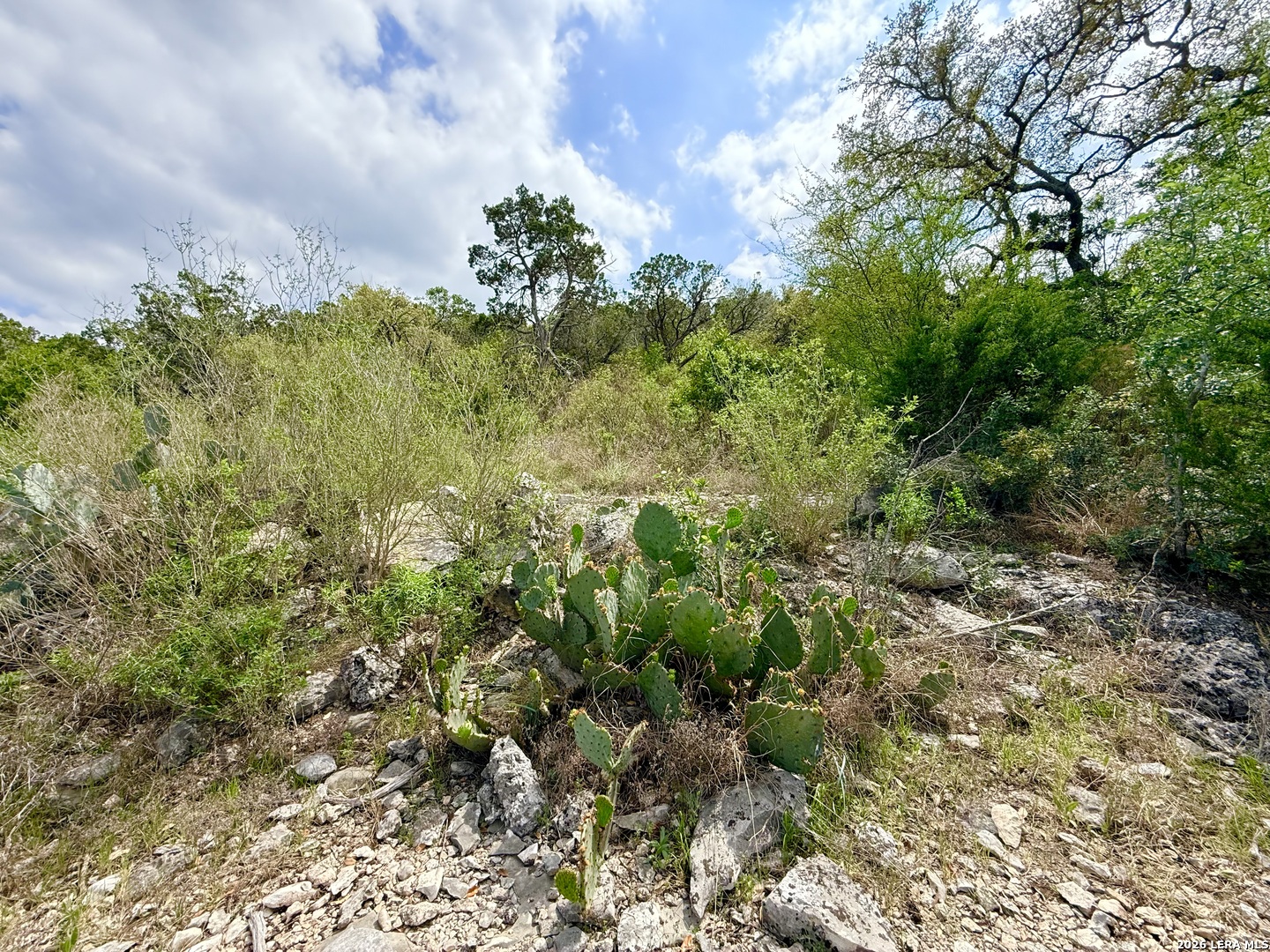 9852 Marnoch Road Helotes, TX 78023 - Photo 12 of 23 a view of a bunch of trees and bushes