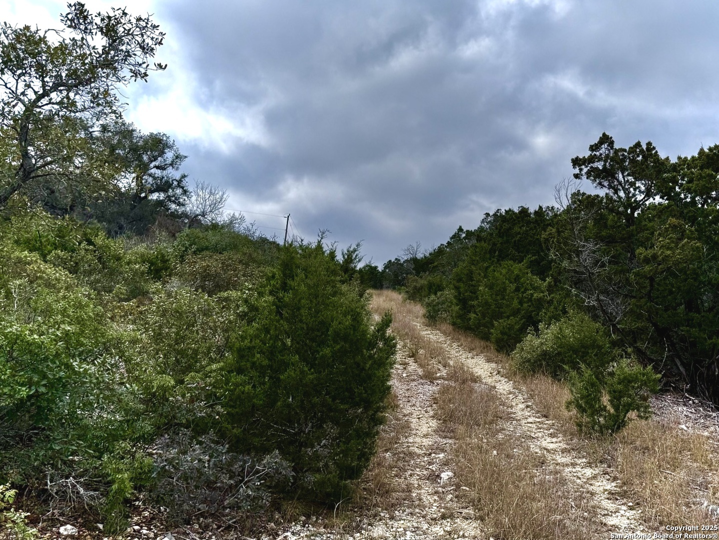 9852 Marnoch Road Helotes, TX 78023 - Photo 14 of 14 a view of a pathway both side of yard