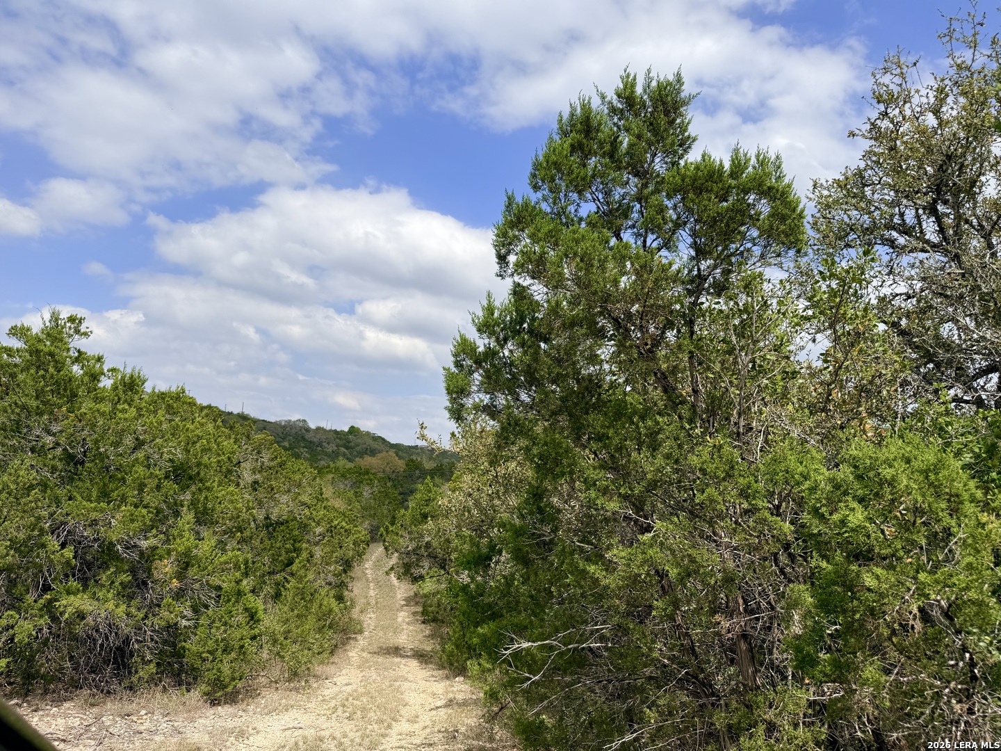 9852 Marnoch Road Helotes, TX 78023 - Photo 14 of 23 a view of a bunch of trees