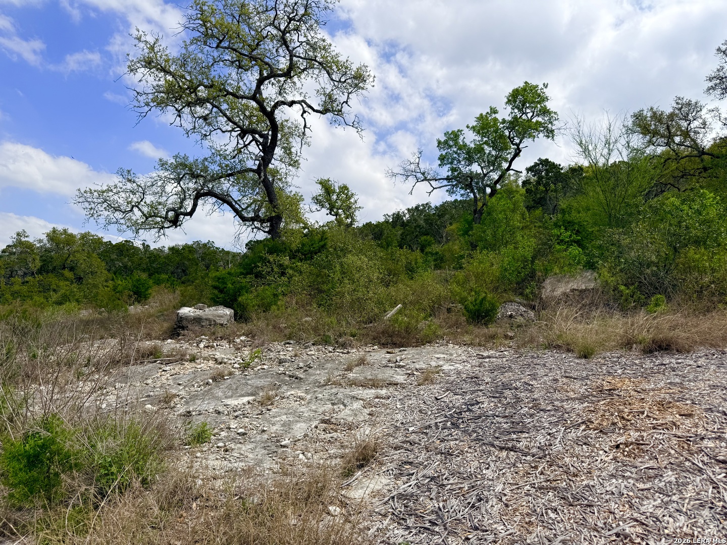 9852 Marnoch Road Helotes, TX 78023 - Photo 18 of 23 a big yard with lots of green space