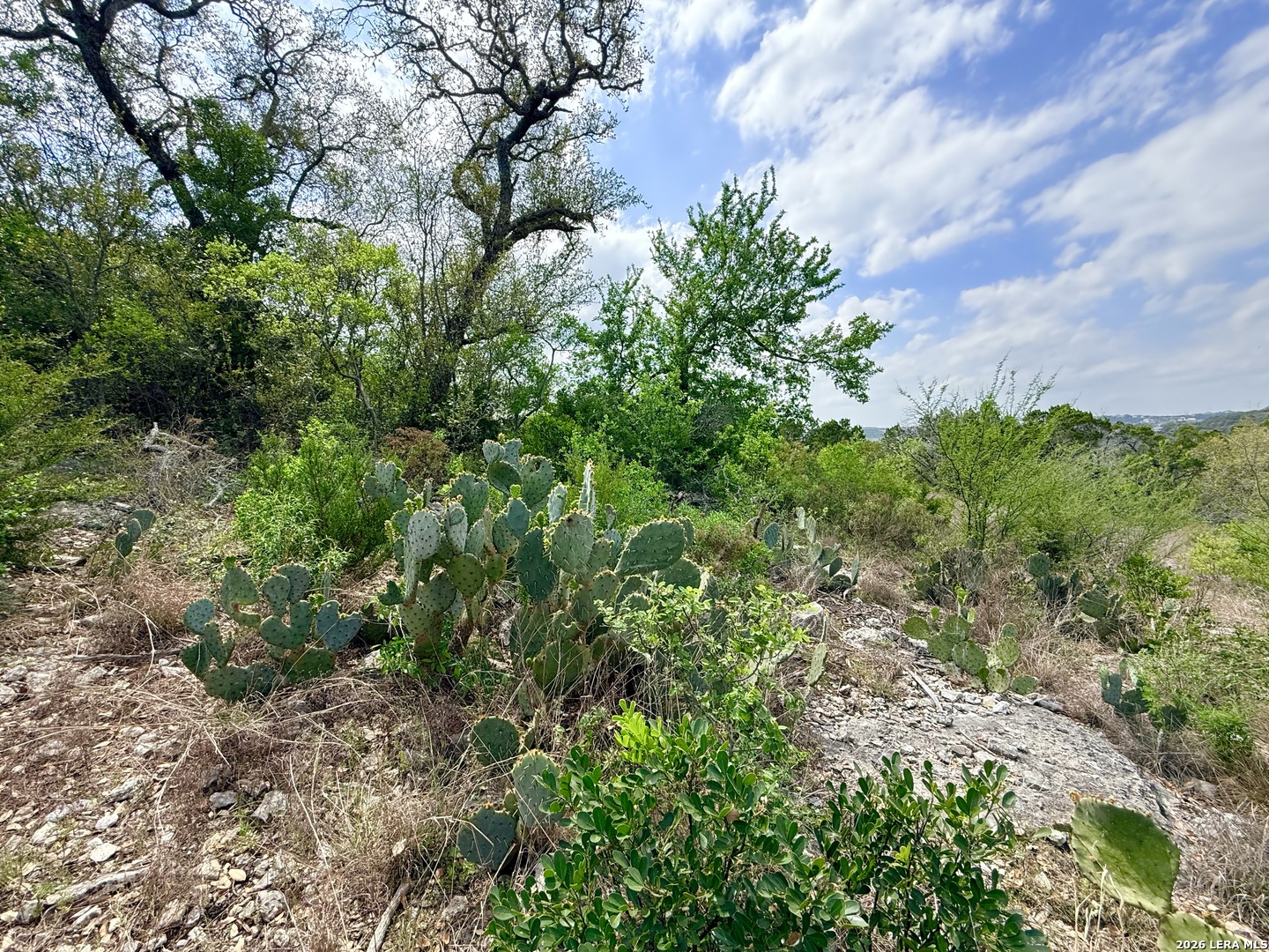 9852 Marnoch Road Helotes, TX 78023 - Photo 19 of 23 a backyard of a house with lots of green space