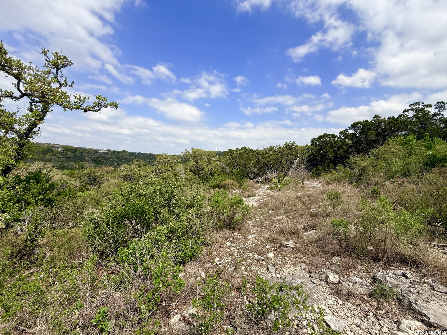 9852 Marnoch Road Helotes, TX 78023 - Photo 20 of 23 a view of a bunch of trees