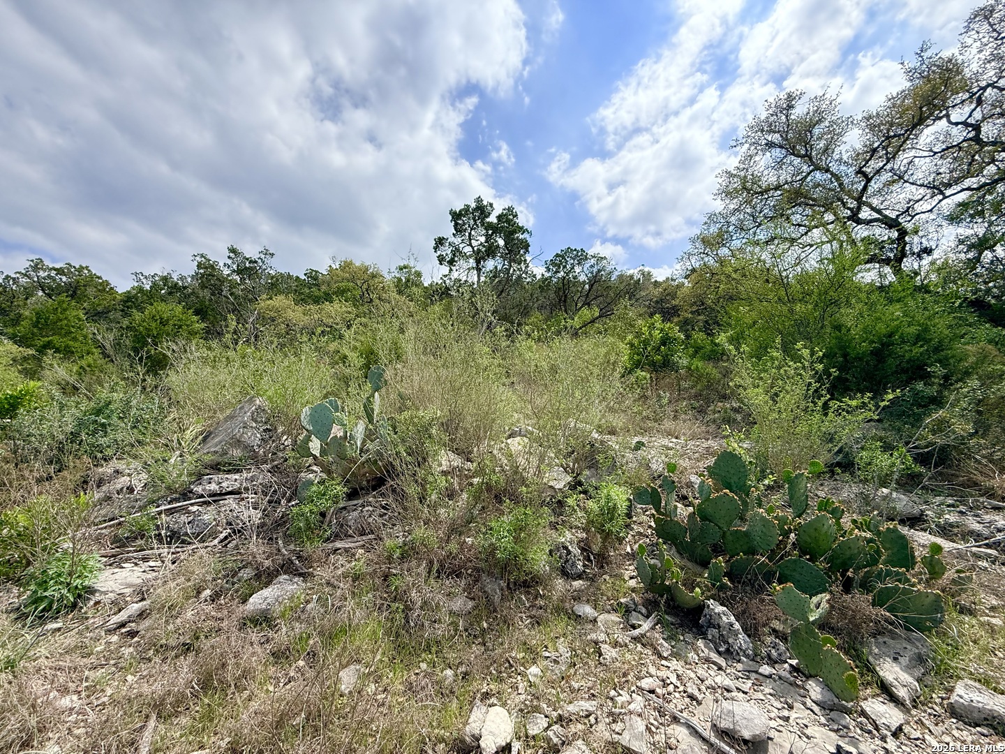 9852 Marnoch Road Helotes, TX 78023 - Photo 22 of 23 a view of a bunch of trees and bushes