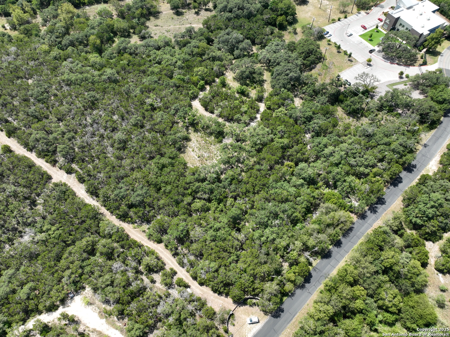 9852 Marnoch Road Helotes, TX 78023 - Photo 8 of 14 a view of a forest with a tree