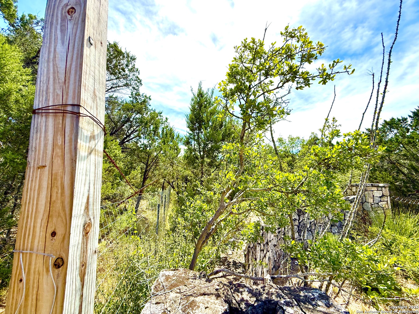 9852 Marnoch Road Helotes, TX 78023 - Photo 8 of 23 a view of a yard with plants and wooden fence