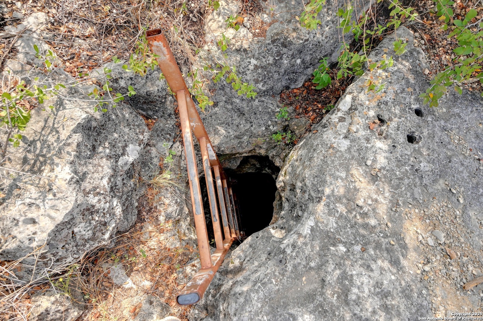 9852 Marnoch Road Helotes, TX 78023 - Photo 9 of 14 a view of a house with a tree